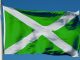Green Flag